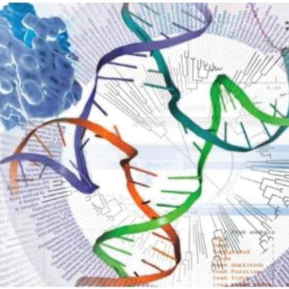 Bioinformatics 18-19